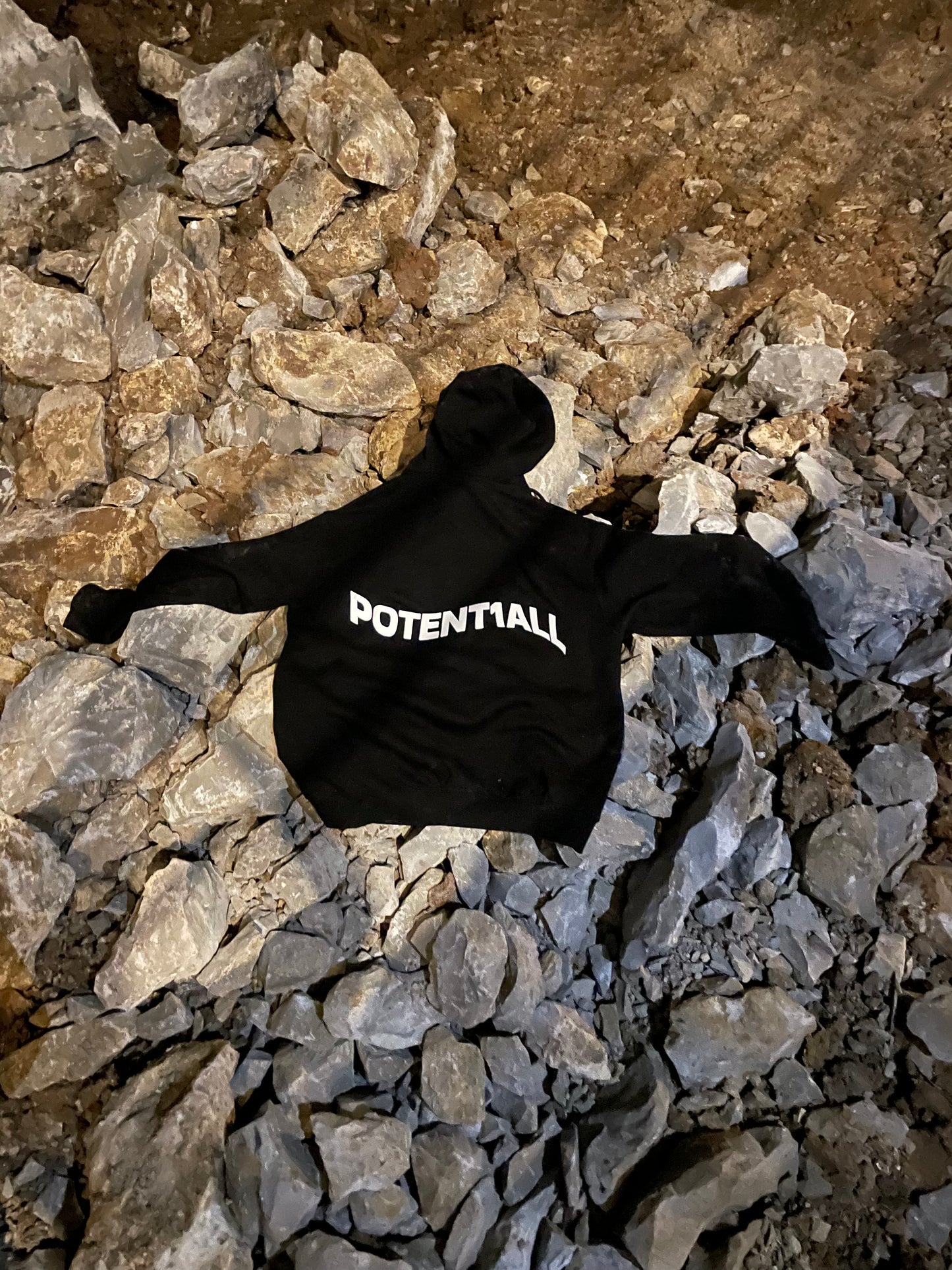 POTENT1ALL Hoodie